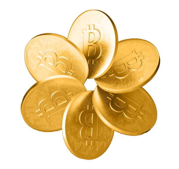Cryptocurrency Investments